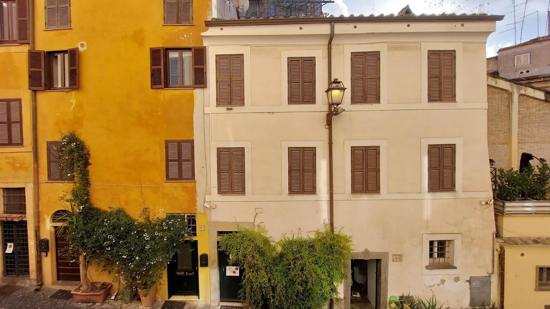 Monti Studio Rome